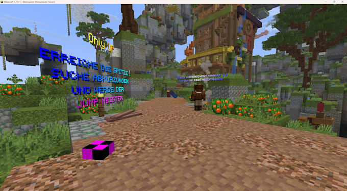create a custom minecraft server