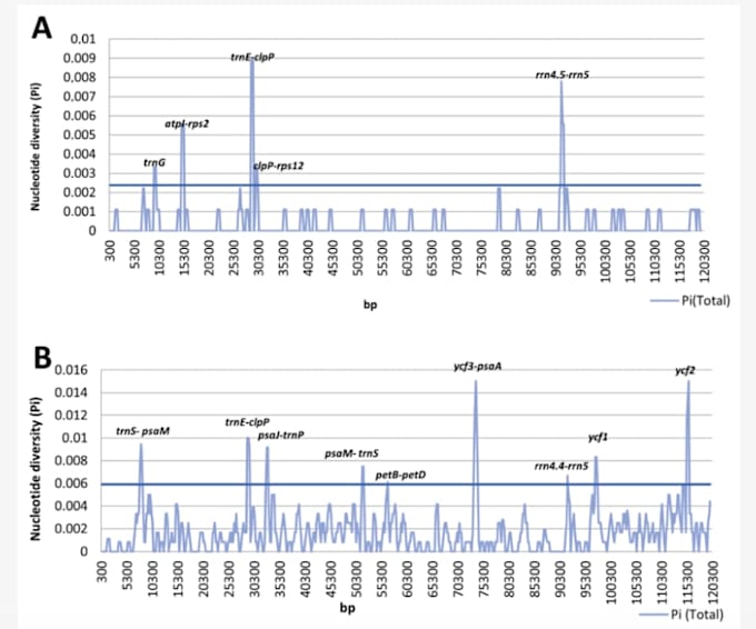 perform chloroplast genome assembly and comparative analysis