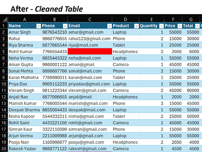 clean, format and organize your excel or CSV data professionally