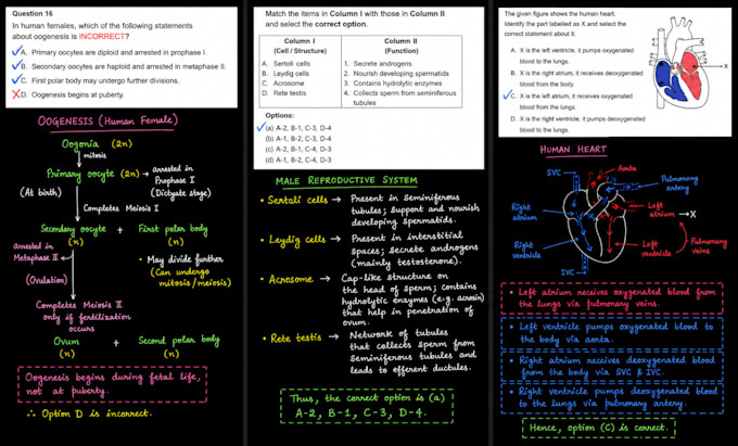 help you master mcat teaching biology chemistry physics