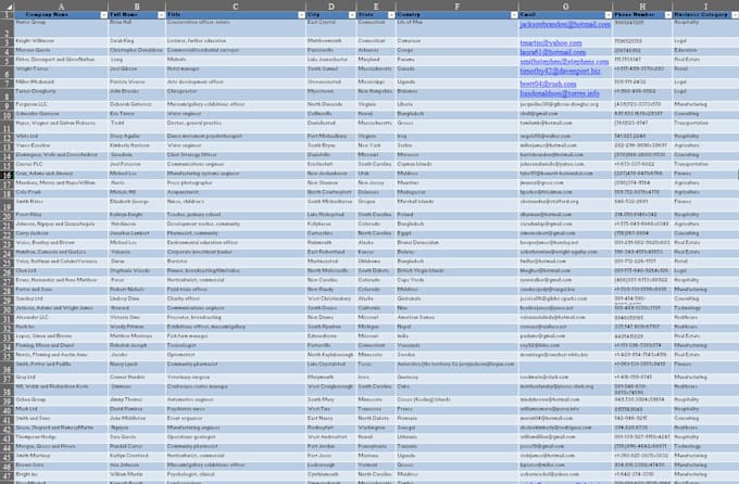 convert PDF to excel with data entry and excel cleaning