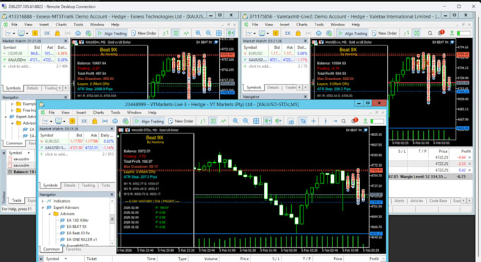 create a custom mql5 expert advisor for metatrader 5