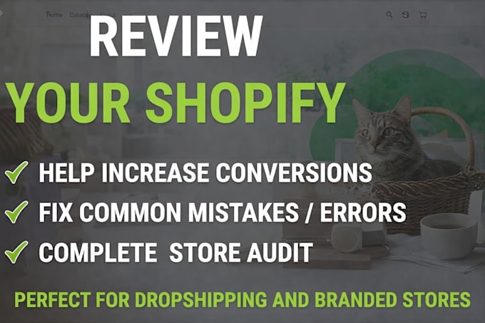 professional shopify cro audit to increase sales conversion