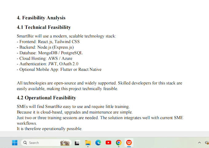 write a professional software feasibility report