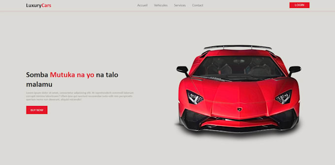 design a professional logo and build your website in htmlcss