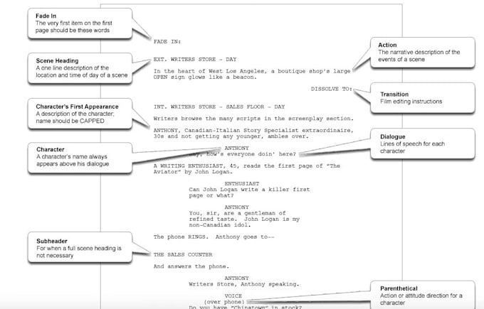 format and proofread your screenplay in final draft 13
