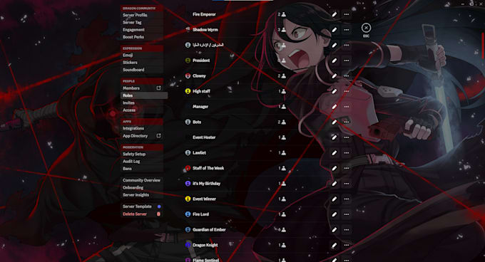 create a professional discord server with bots and organization