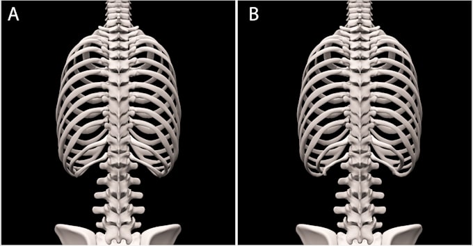 create medical illustration with anatomically precise