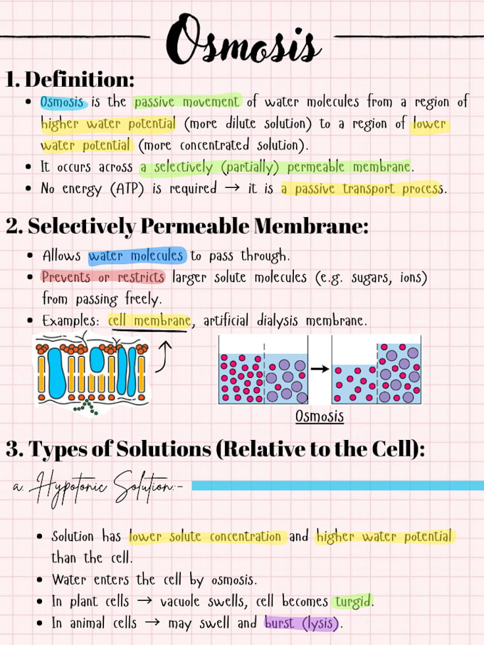 create study notes from your textbook or lectures