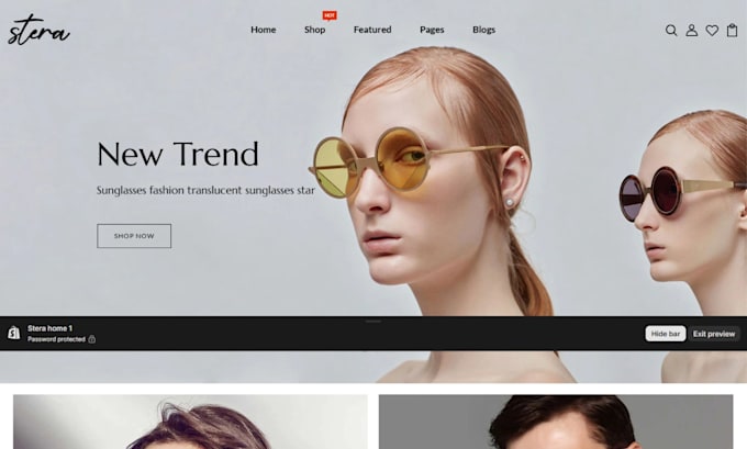 build shopify store design, redesign shopify store, set up shopify store design