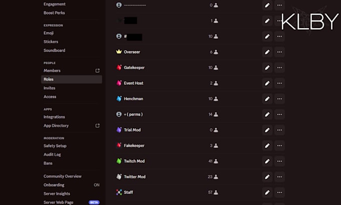 setup a professional discord server with roles bots and security