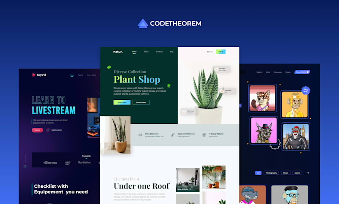 develop a fast, scalable website for your business