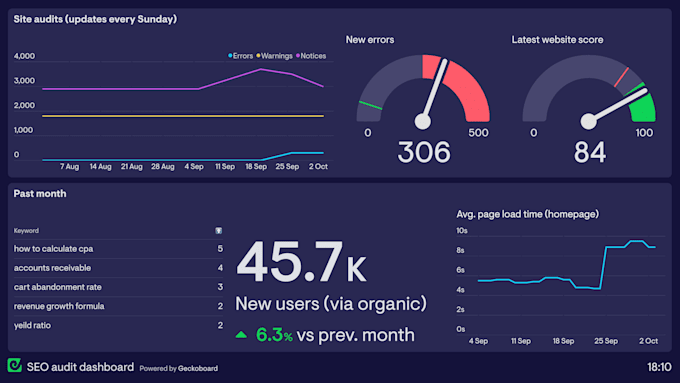 provide professional SEO consulting, auditing, and strategy