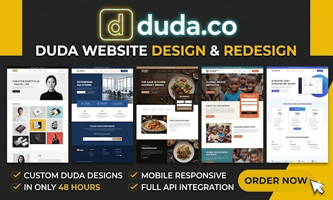 build a responsive duda website design and landing page