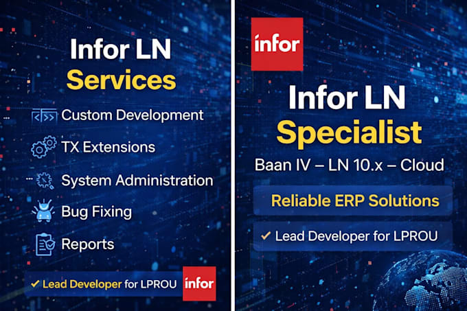 develop and customize infor ln erp solutions