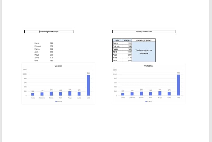 organizaré tus datos de forma clara y eficiente