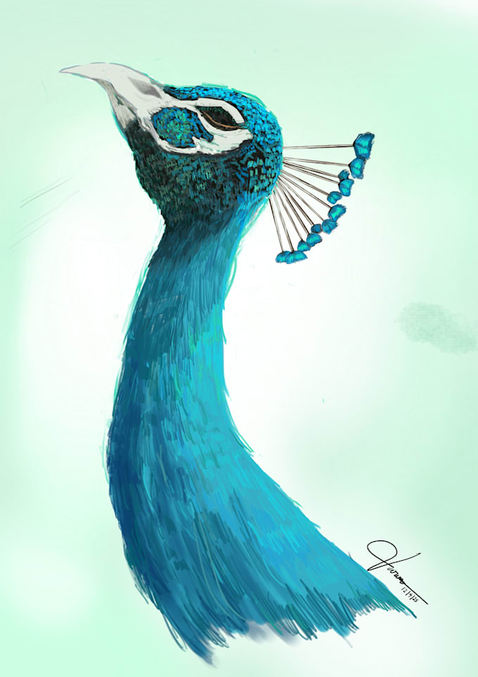 draw animal or bird illustrations