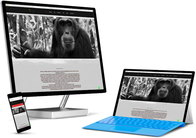 provide all your website development needs