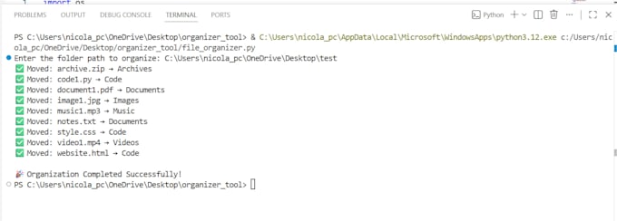 professional python developer, custom scripts and automation solutions