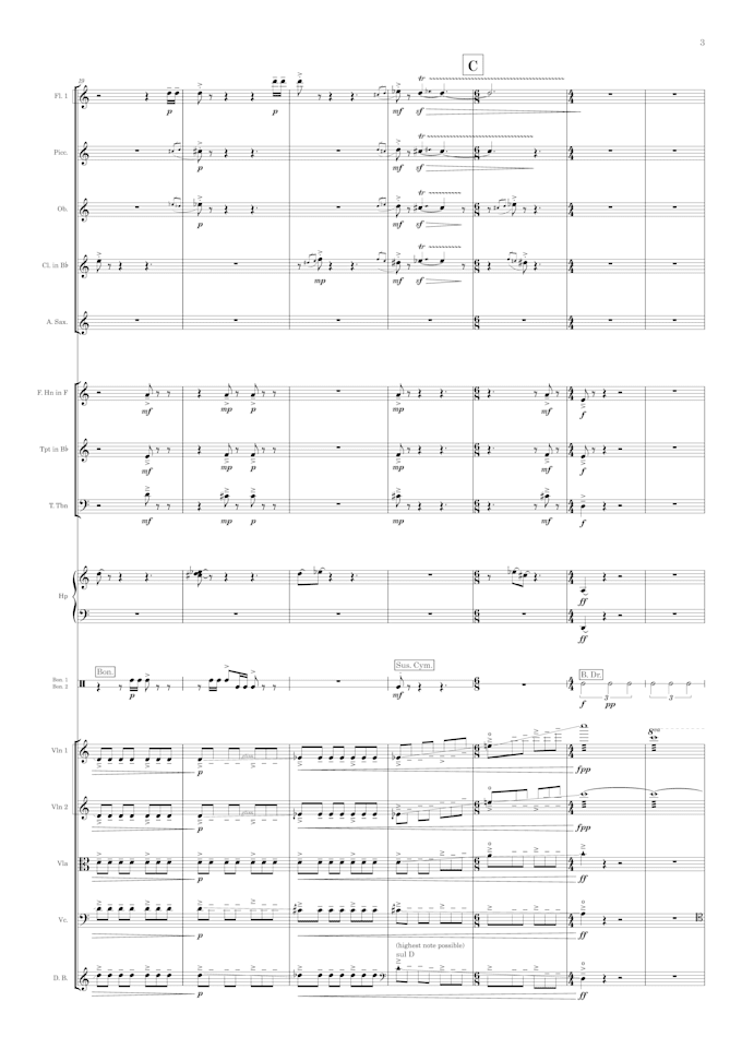 digitalise, engrave, and edit your score or manuscript