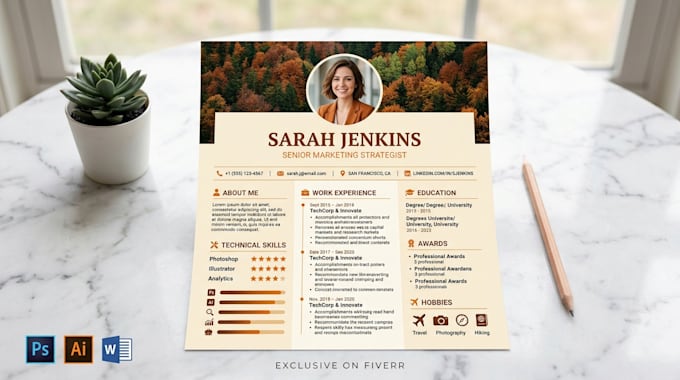 design a professional visual resume and CV