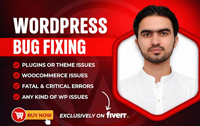 fix wordpress errors, bugs, white screen and plugin conflicts