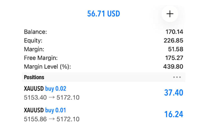 forex trading robot forex ea bot  gold ea robot scalping xauusd bot gold ea bot