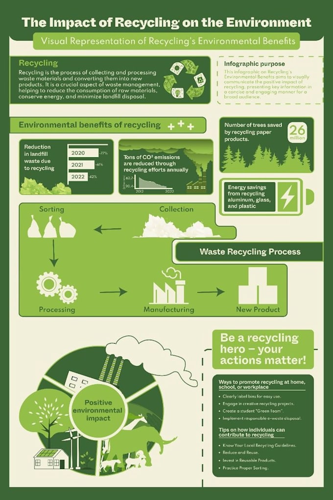 create a professional unique infographics
