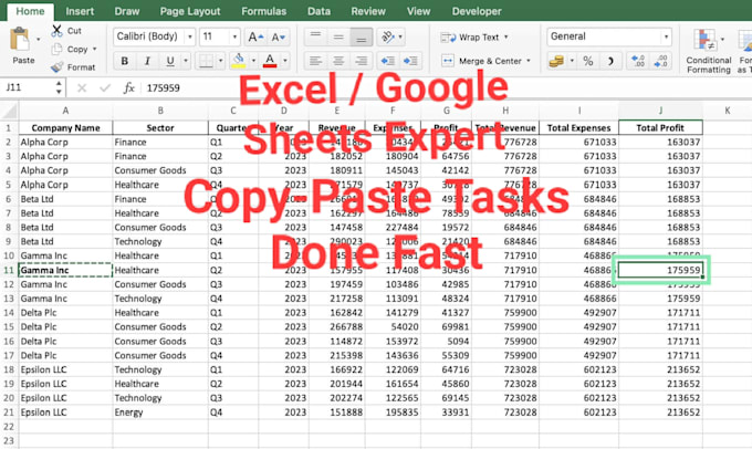 do fast and accurate data entry on excel or google sheets