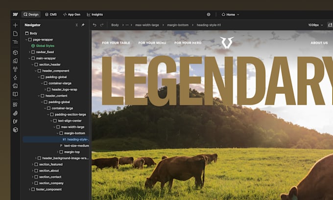 customize your webflow template with content, cms and custom code