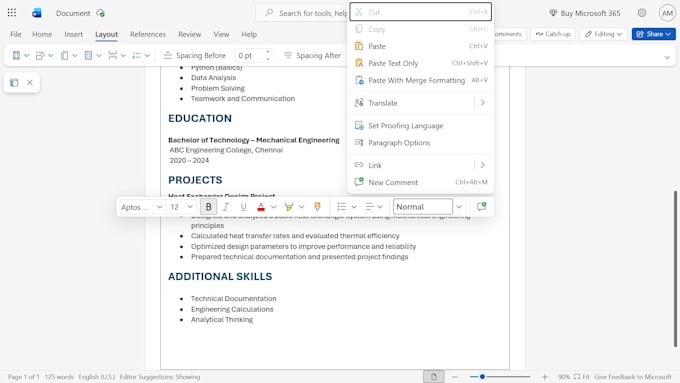 create an ats friendly professional resume or CV