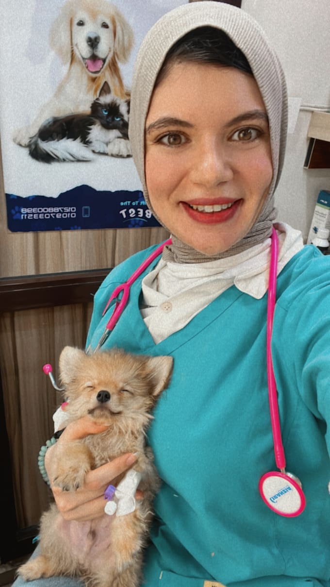 customize nutrition plan for your dog or cat