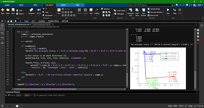 do your matlab projects