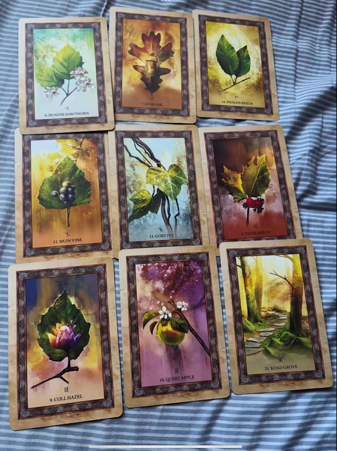 do love tarot reading
