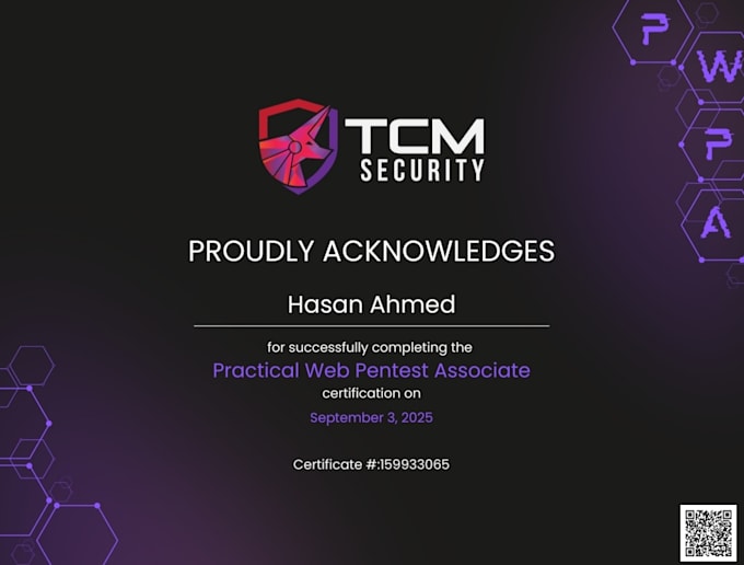 perform professional web application penetration testing