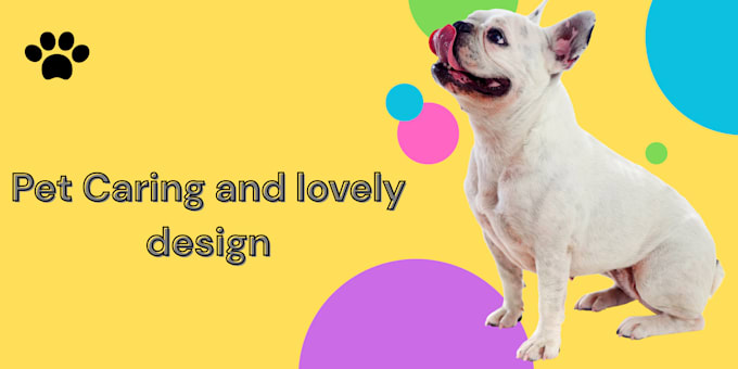 pet training and pet caring