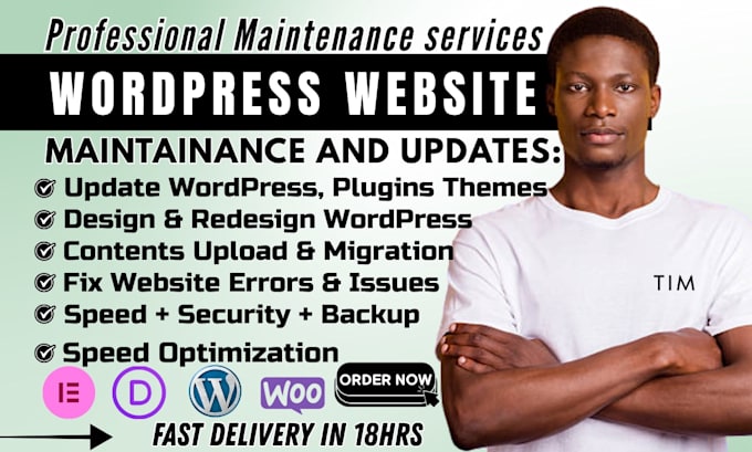 manage wordpress website update fix bugs errors wordpress plugin maintenance