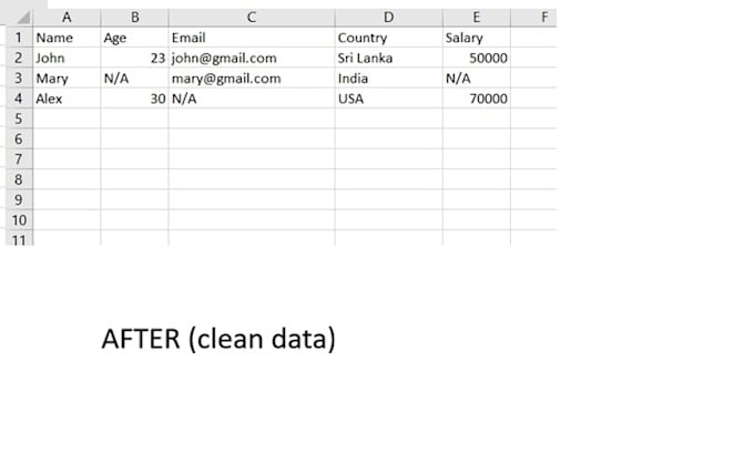 clean and format your excel data professionally