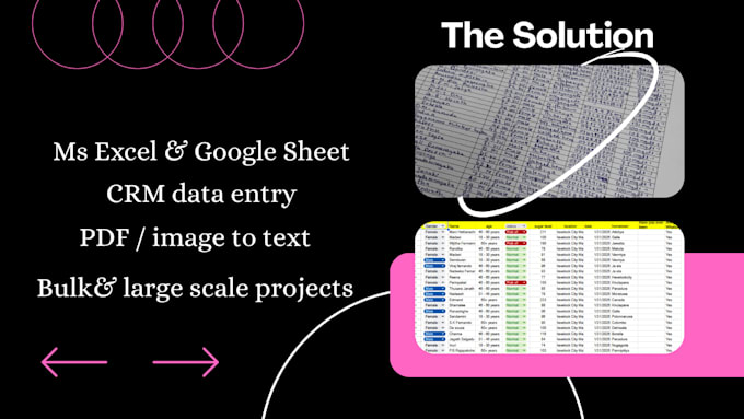 do fast and accurate data entry any database