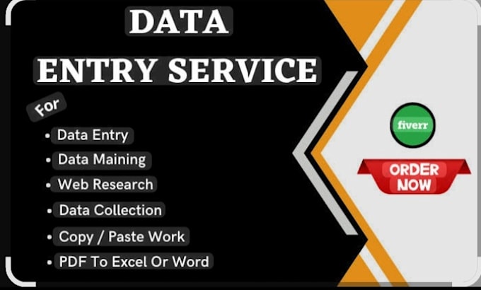 be your expert for excel data entry, typing and formatting