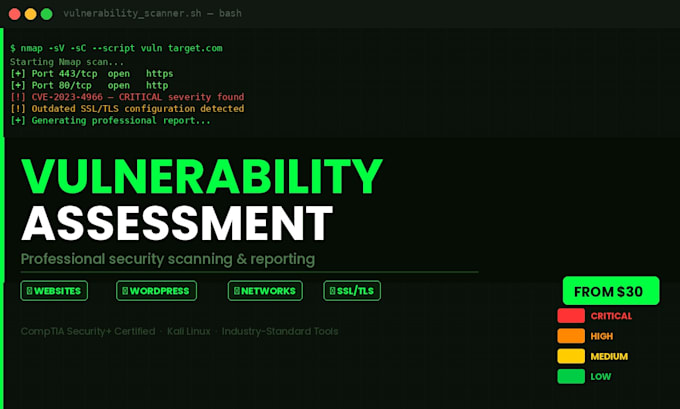 professional vulnerability assessment and security report