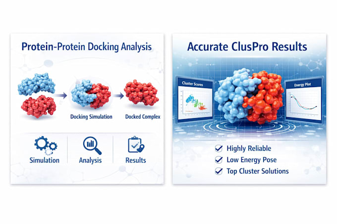 do protein docking and bioinformatics analysis using cluspro
