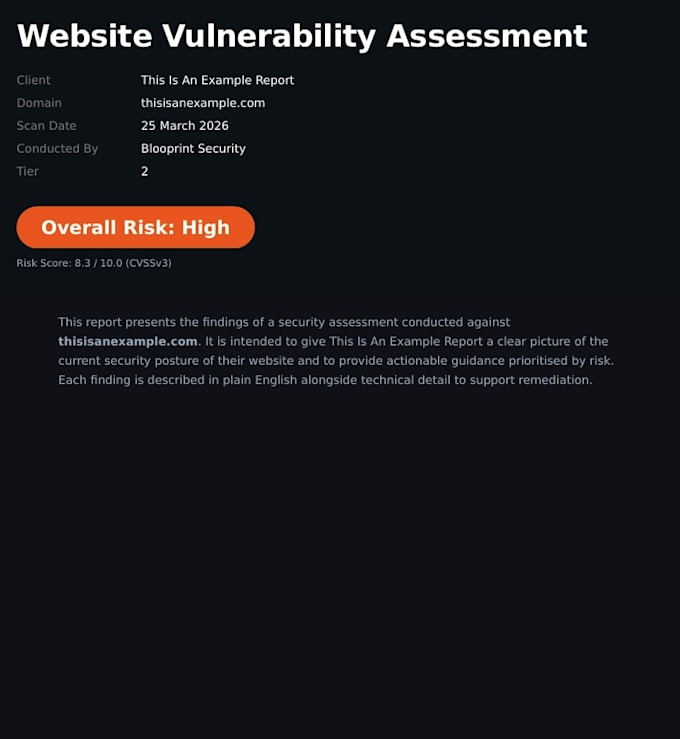 perform a professional website vulnerability assessment and security repo
