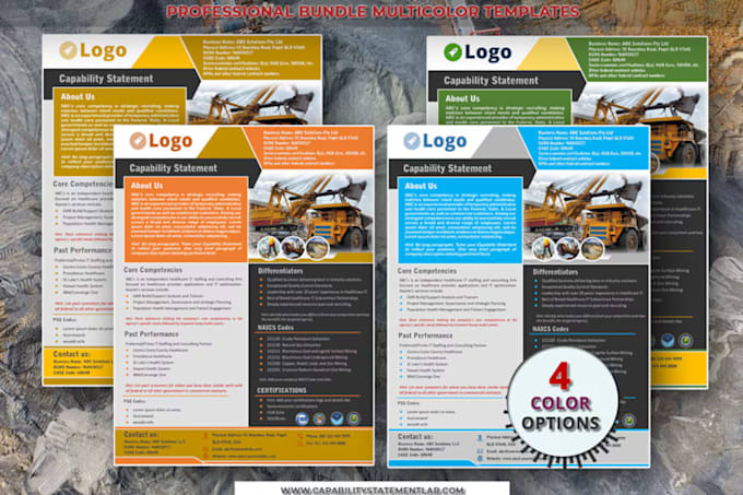 do government capability statement brochure, business capability statement flyer