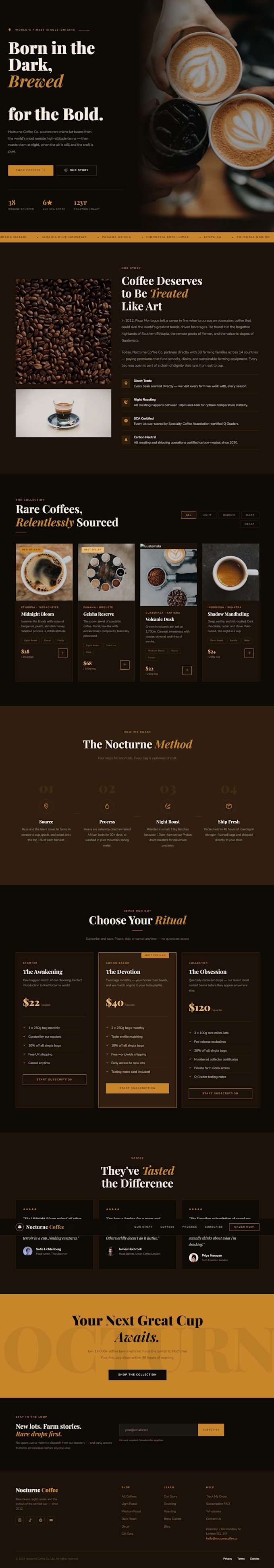 design a professional brochure website in elementor with pixel perfect UI