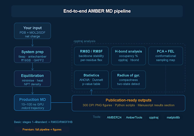 run amber molecular dynamics simulations with full trajectory analysis