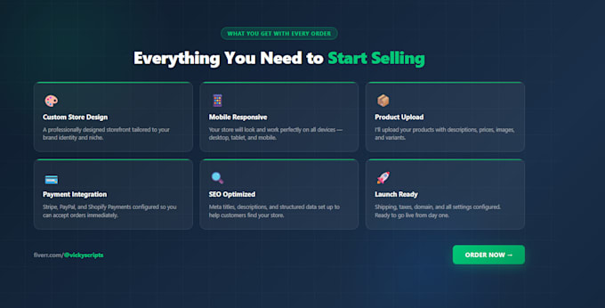 build a professional shopify store with custom design and setup