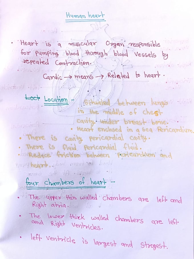 do typing and handwriting notes of science