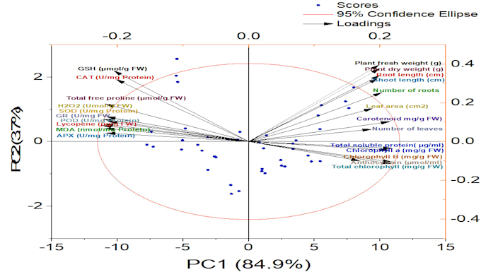 do statistical data analysis, anova, pca, r programming