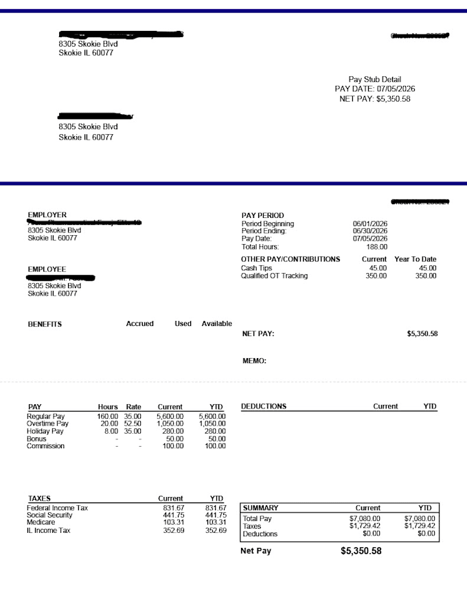 provide professional remote payroll processing and payslip service